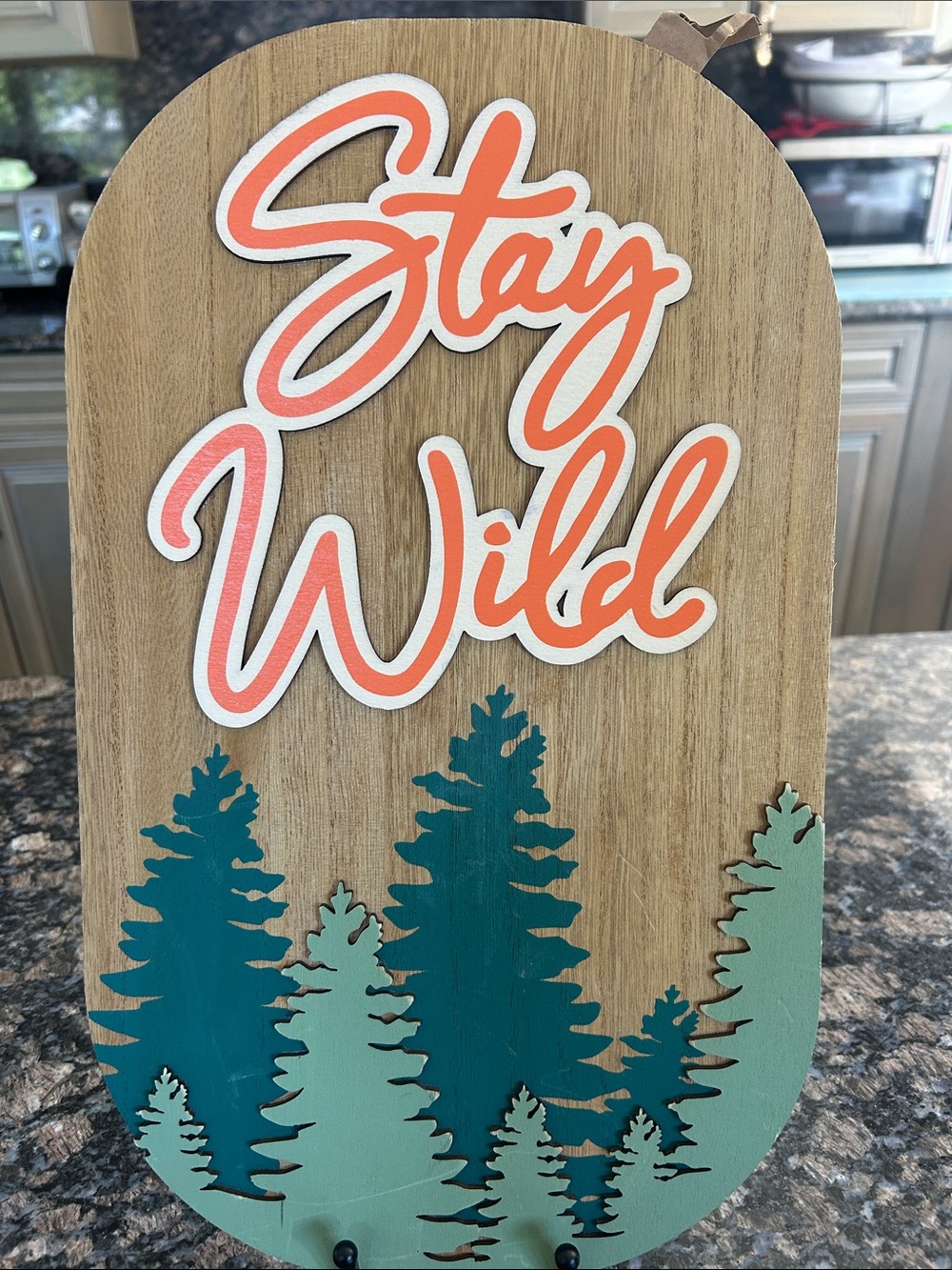 ASHLAND WOODEN STAY WILD WALL DECOR NWT